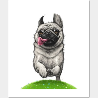 Pug on a run Posters and Art